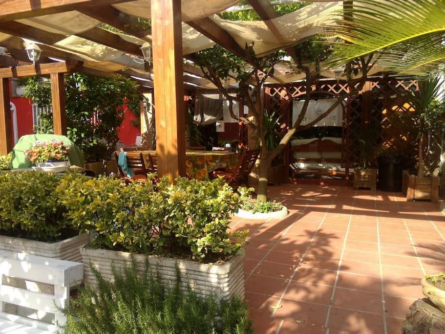 Villa Elvira Pellezzano المظهر الخارجي الصورة
